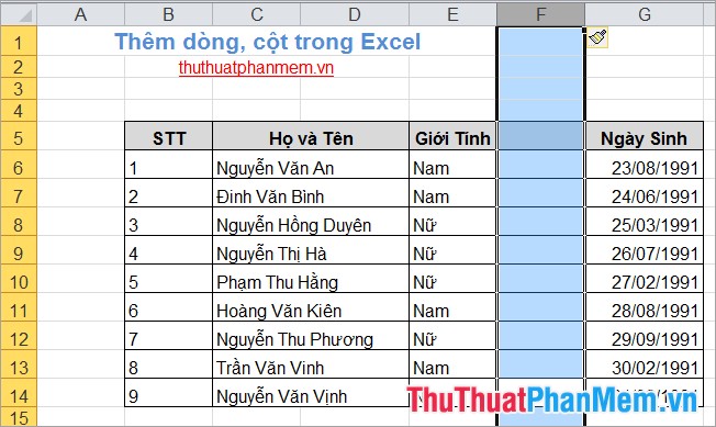 Thêm dòng, cột trong Excel 9