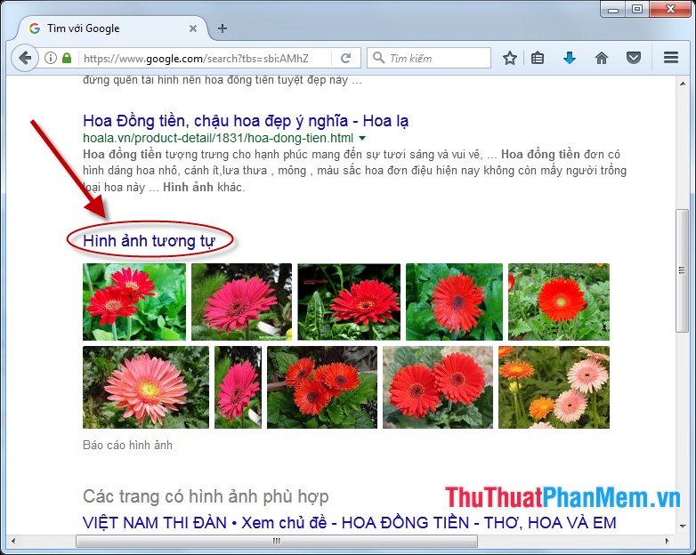 Cách tìm các ảnh tương tự/giống nhau bằng Google Image