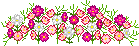 hình nền động hoa lá đẹp 1 (115)