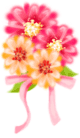 hình nền động hoa lá đẹp 1 (132)