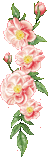 hình nền động hoa lá đẹp 1 (193)