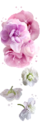 hình nền động hoa lá đẹp 1 (202)