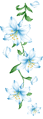 hình nền động hoa lá đẹp 1 (93)