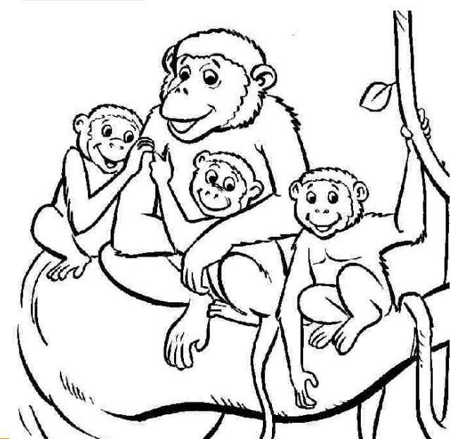 hình khỉ mẹ và những chú khỉ con