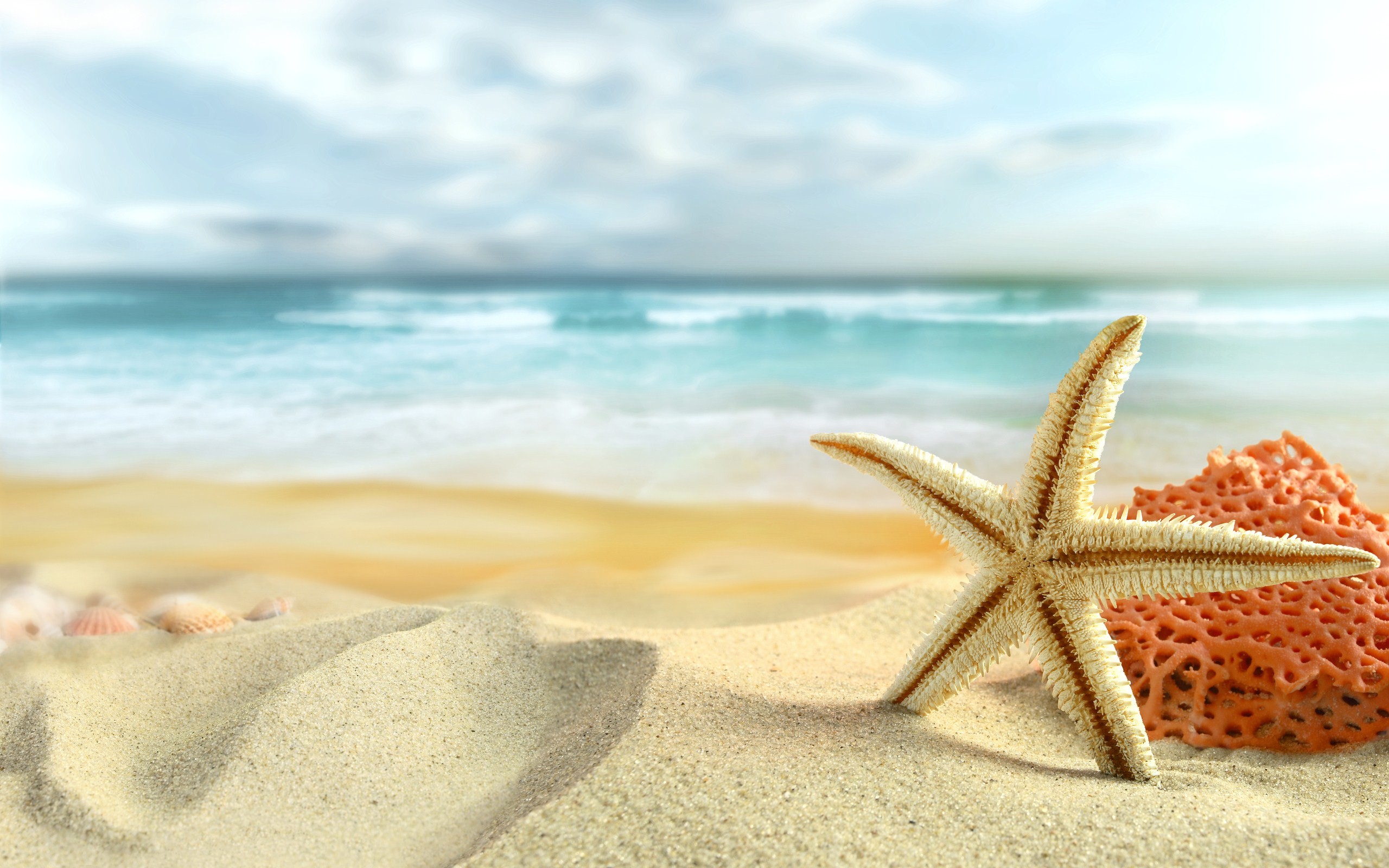 hình nền Full HD 1080 ngôi sao biển trên bãi cát