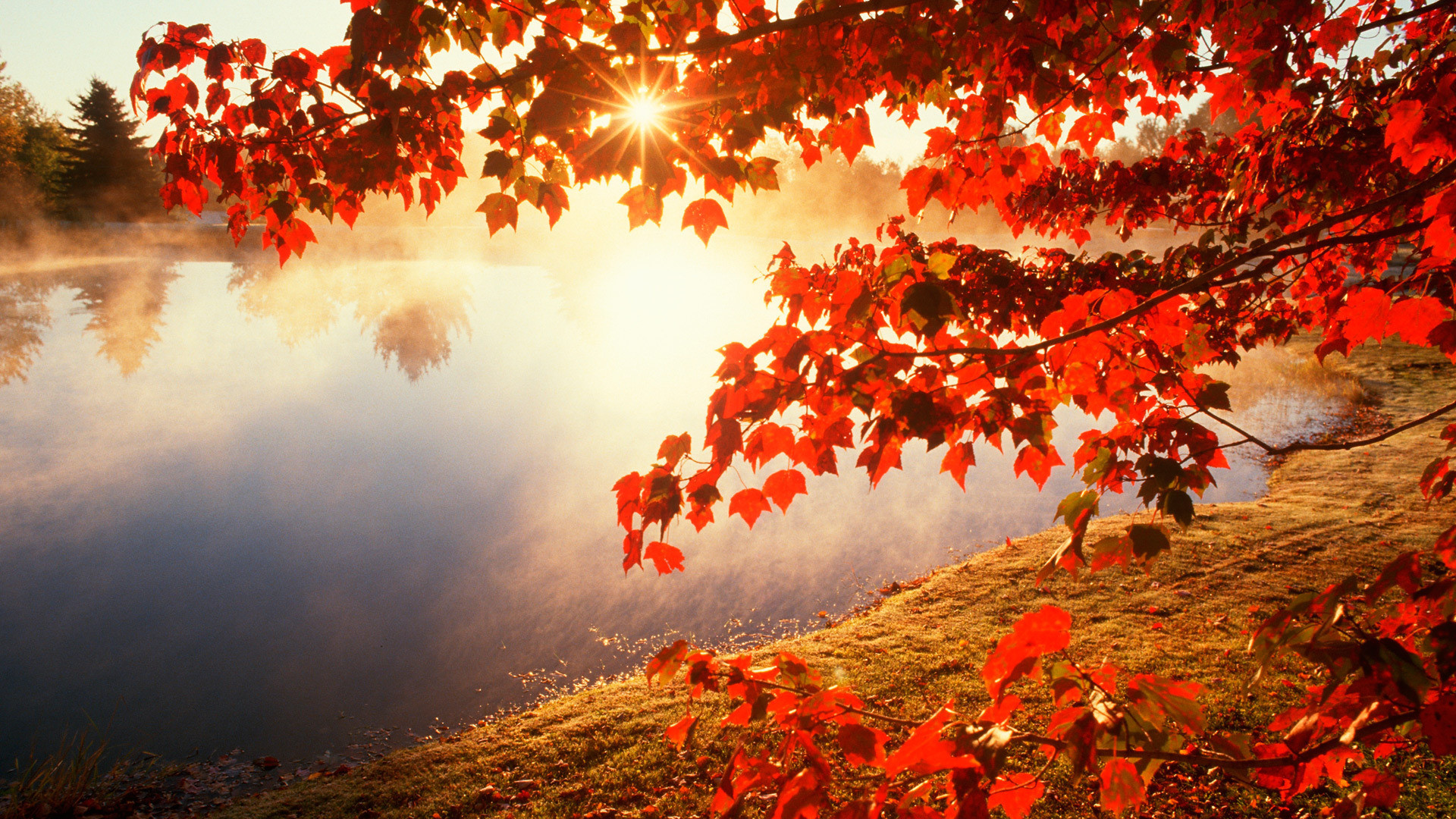 hình nền Full HD 1080 phong cảnh thiên nhiên ngày nắng mùa thu