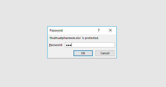 Nhập mật khẩu vào ô password để mở file Excel
