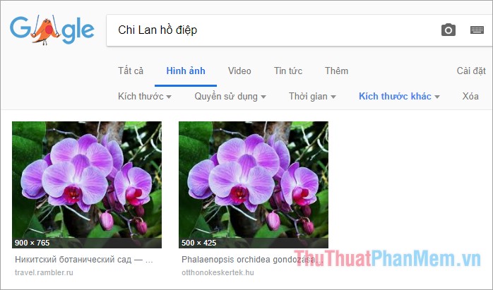 Cách tìm ảnh tương tự bằng Google Hình ảnh (Google Images)