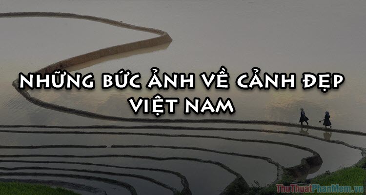 50+ Bức ảnh về cảnh đẹp Việt Nam khiến bạn kinh ngạc