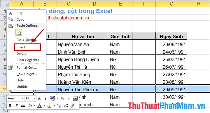 Thêm hàng և cột trong Excel 5