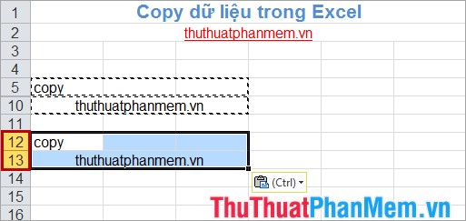 Copy dữ liệu trong Excel 14