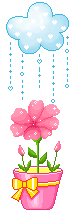 hình nền động hoa lá đẹp 1 (10)