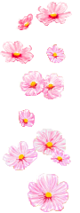 hình nền động hoa lá đẹp 1 (110)