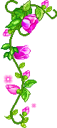 hình nền động hoa lá đẹp 1 (13)