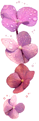 hình nền động hoa lá đẹp 1 (160)