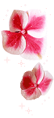 hình nền động hoa lá đẹp 1 (166)