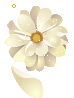 hình nền động hoa lá đẹp 1 (173)