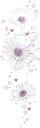 hình nền động hoa lá đẹp 1 (87)
