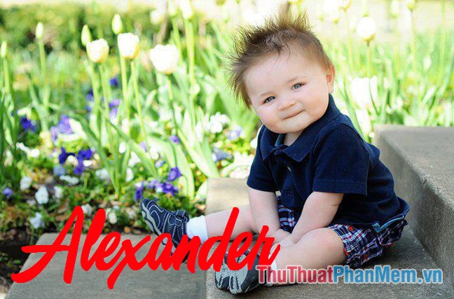 Alexander - 