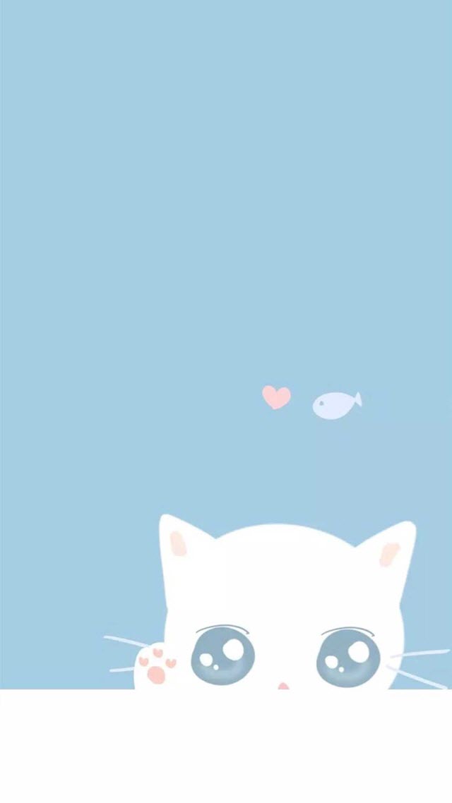 hình nền mặt mèo trắng đẹp