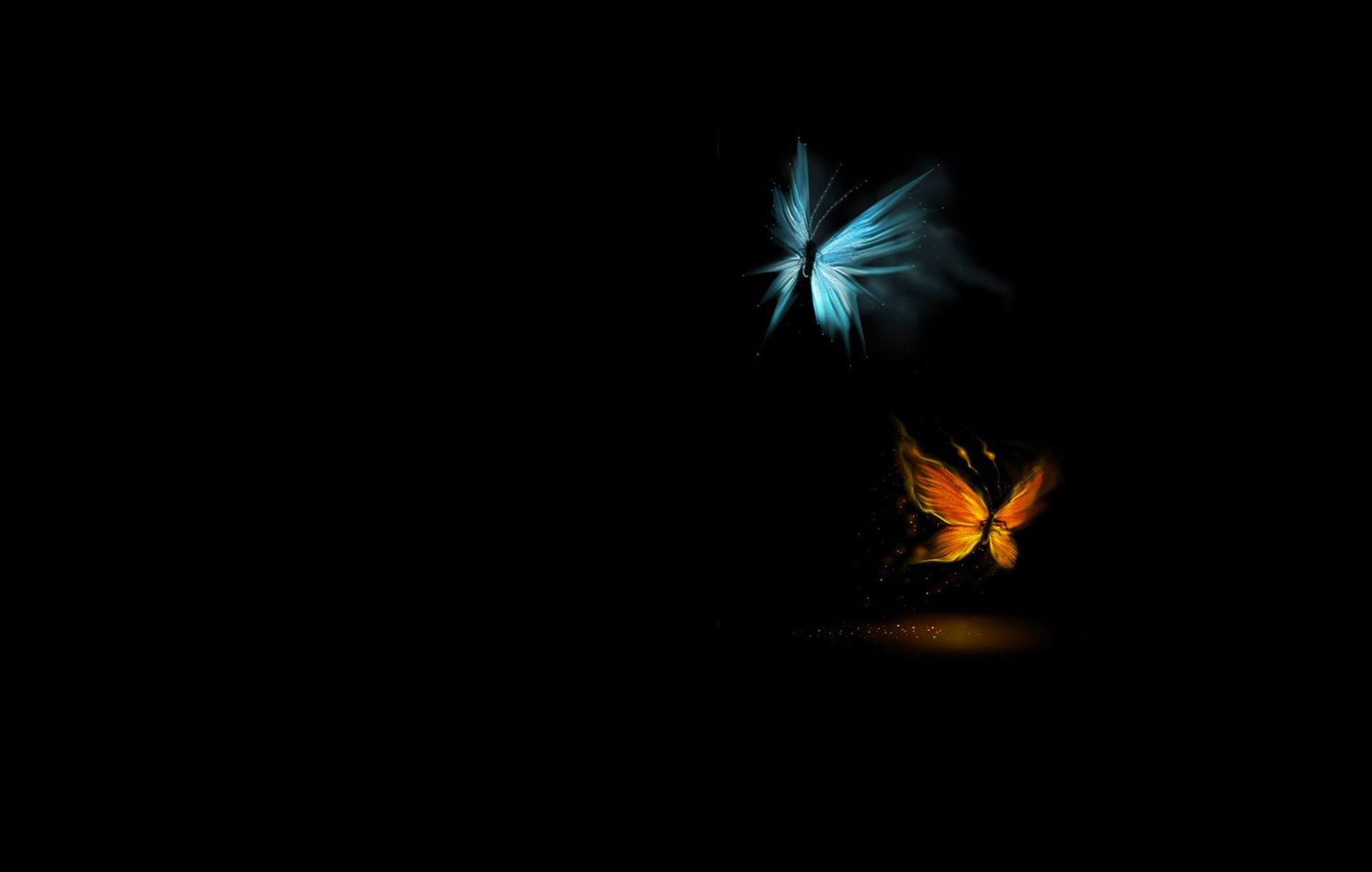 hình nền những chú bướm ảo mộng đẹp