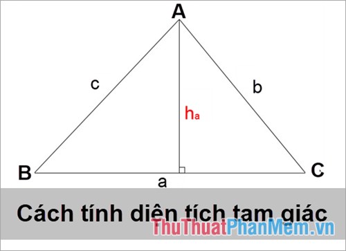 Cách tính diện tích tam giác chuẩn 2023