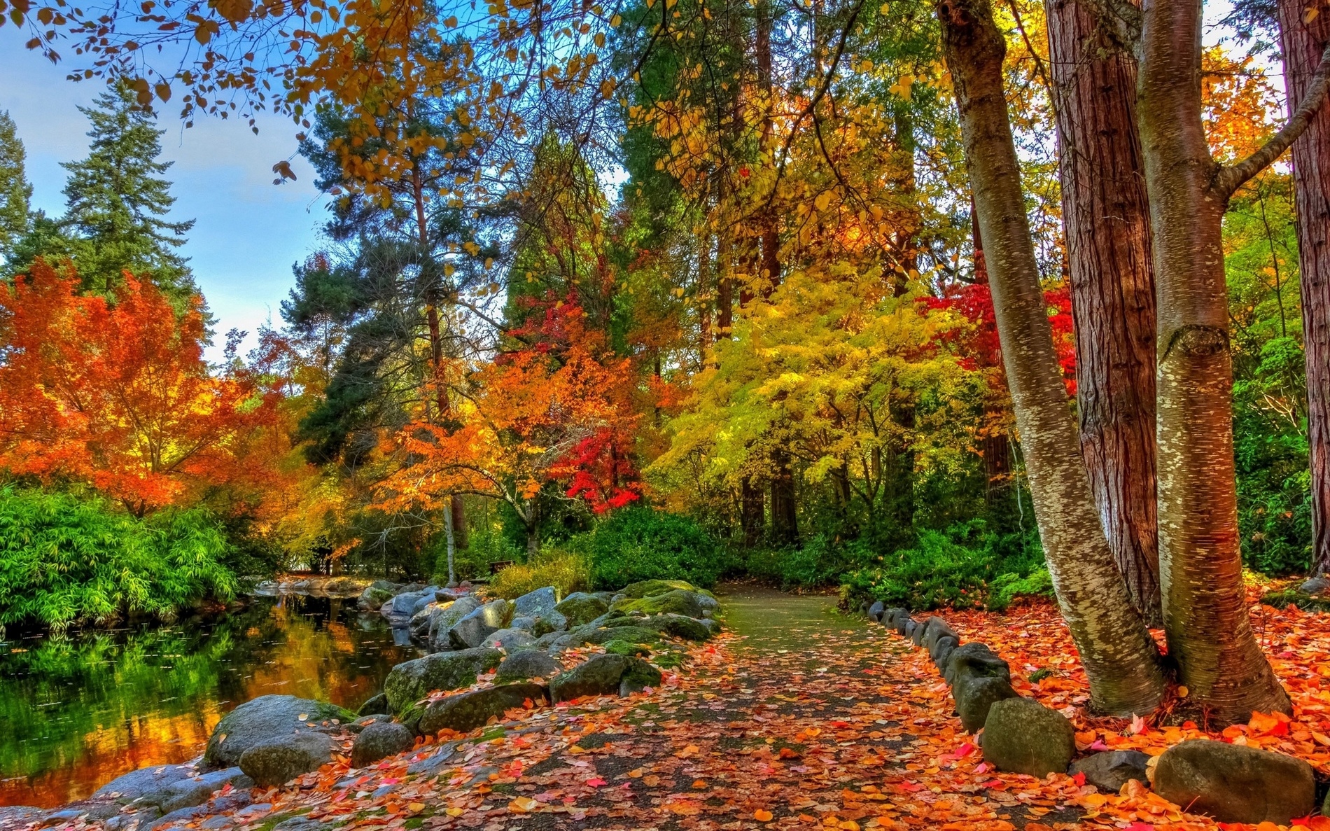 Hình nền phong cảnh thiên nhiên mùa thu đẹp