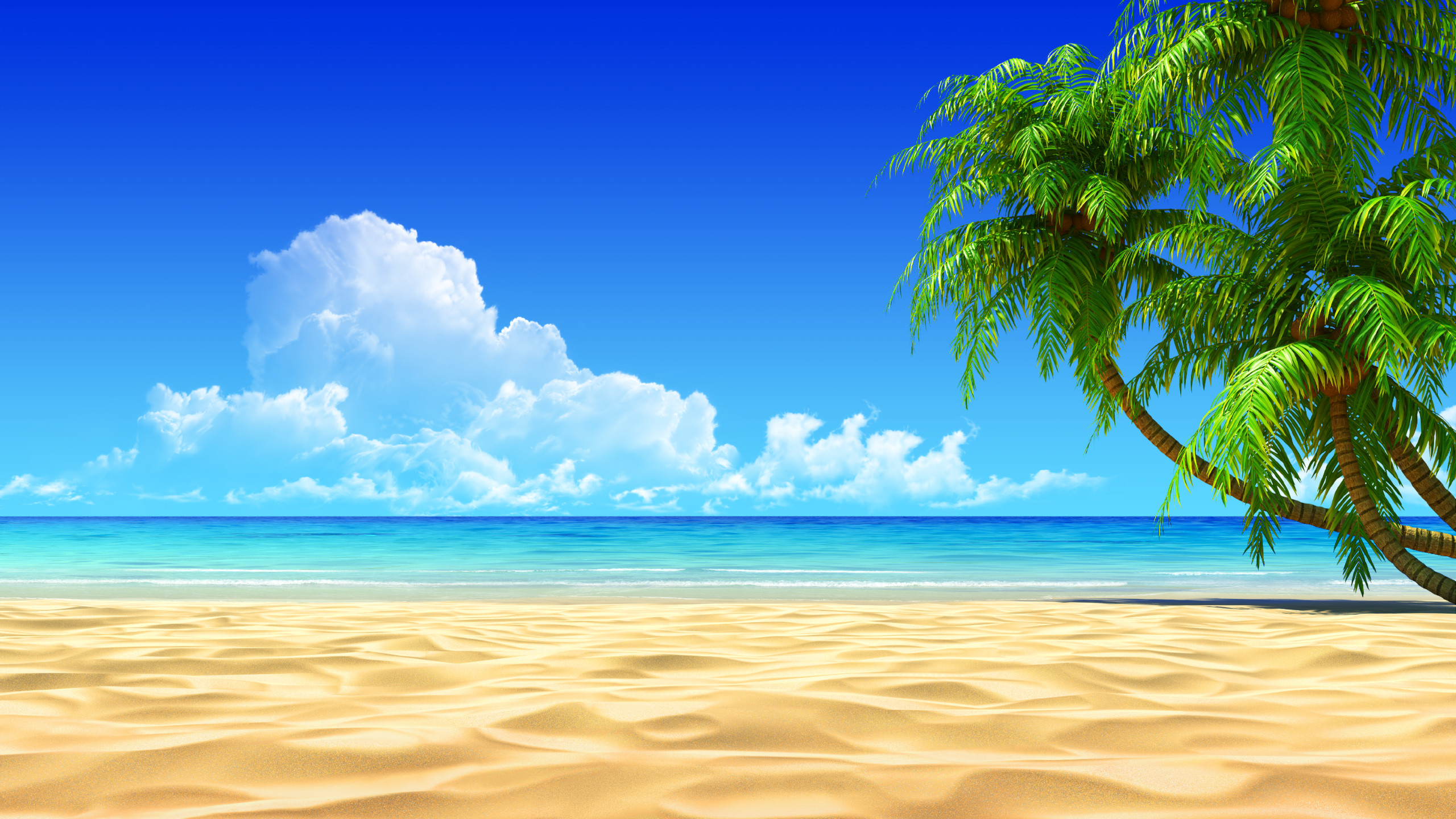Hình nền Laptop bãi biển trong xanh đẹp