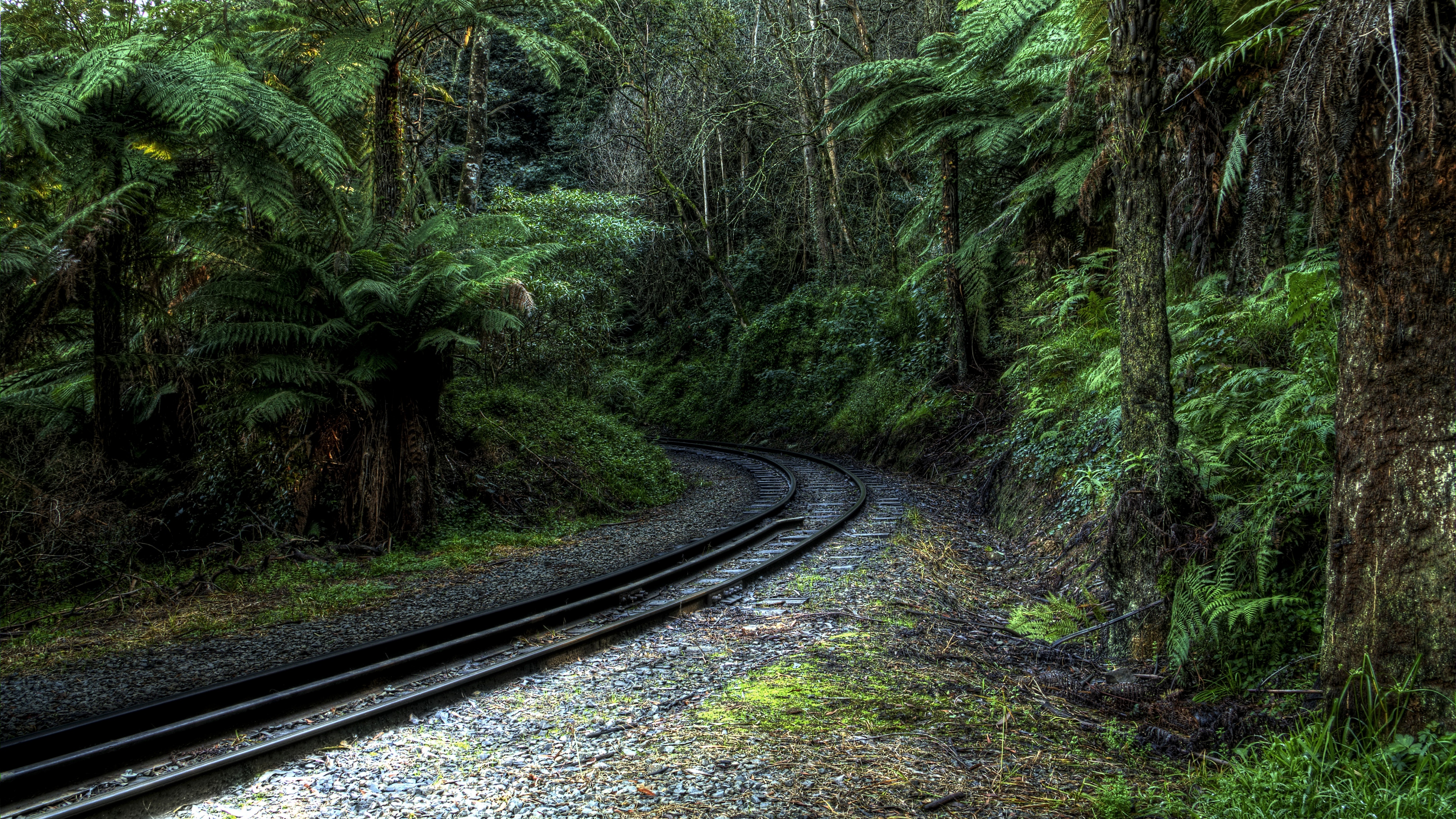 Hình nền máy tính full HD - phong cảnh đường sắt rừng nhiệt đới đẹp