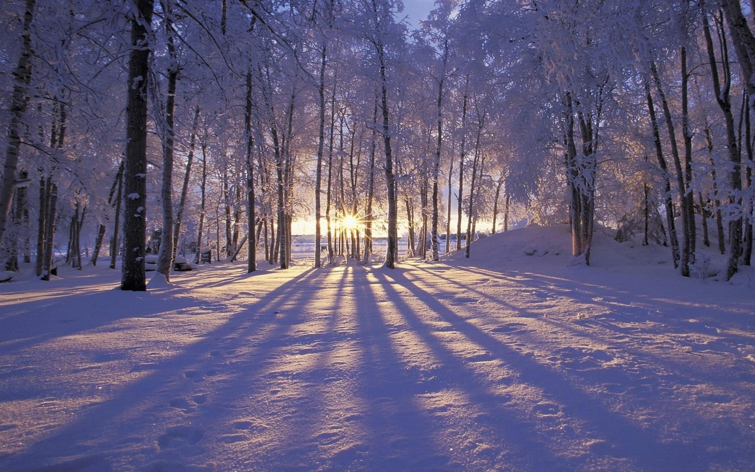 Hình nền máy tính full HD - phong cảnh thiên nhiên mùa đông dưới ánh nắng mặt trời đẹp