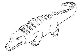 Bé cá mập cách vẽ con cá sấu chúa how to draw a simple crocodile  Dạy Vẽ  Tô  Màu