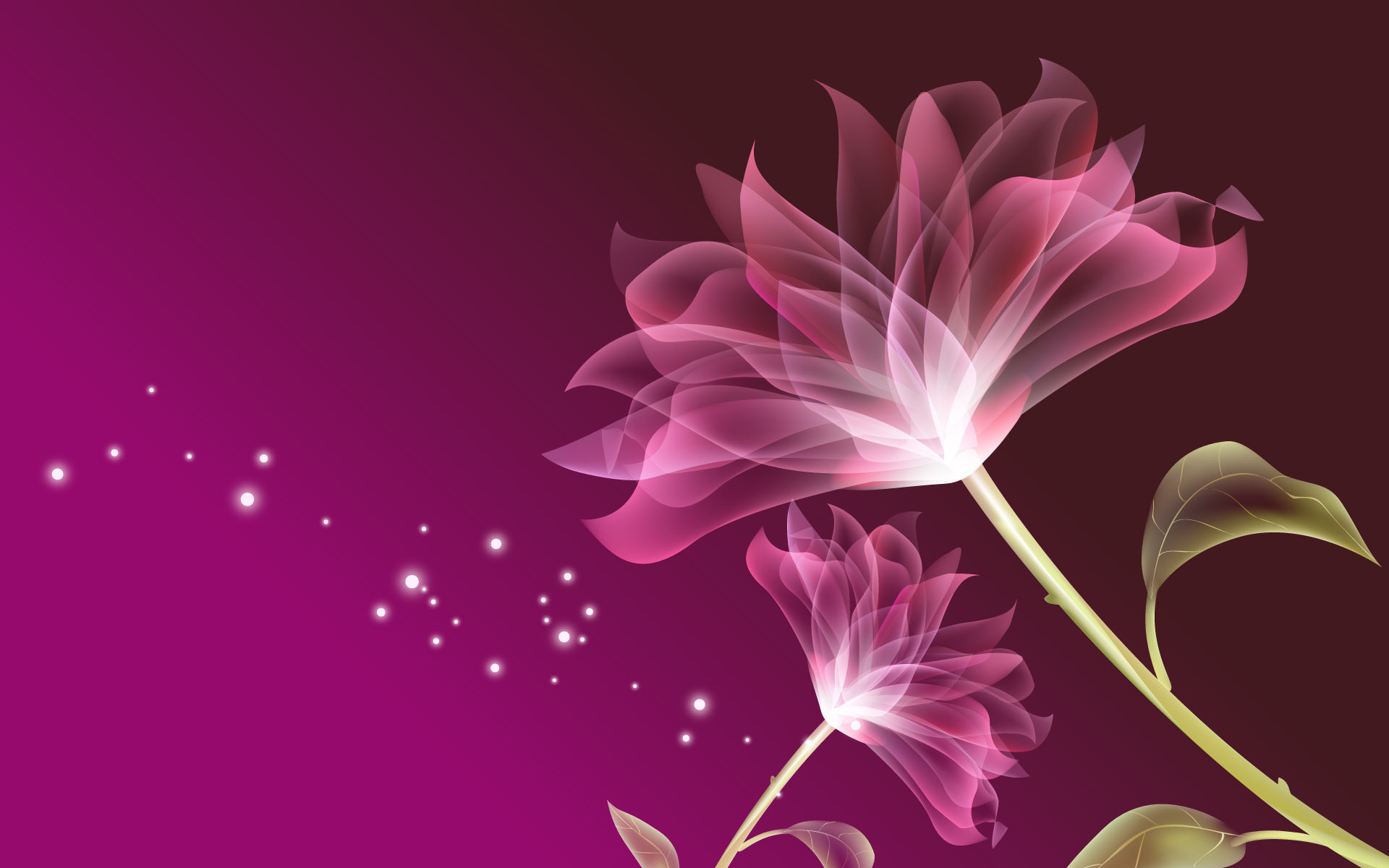 Hình nền bông hoa đẹp cho điện thoại và PC Ảnh hoa đẹp
