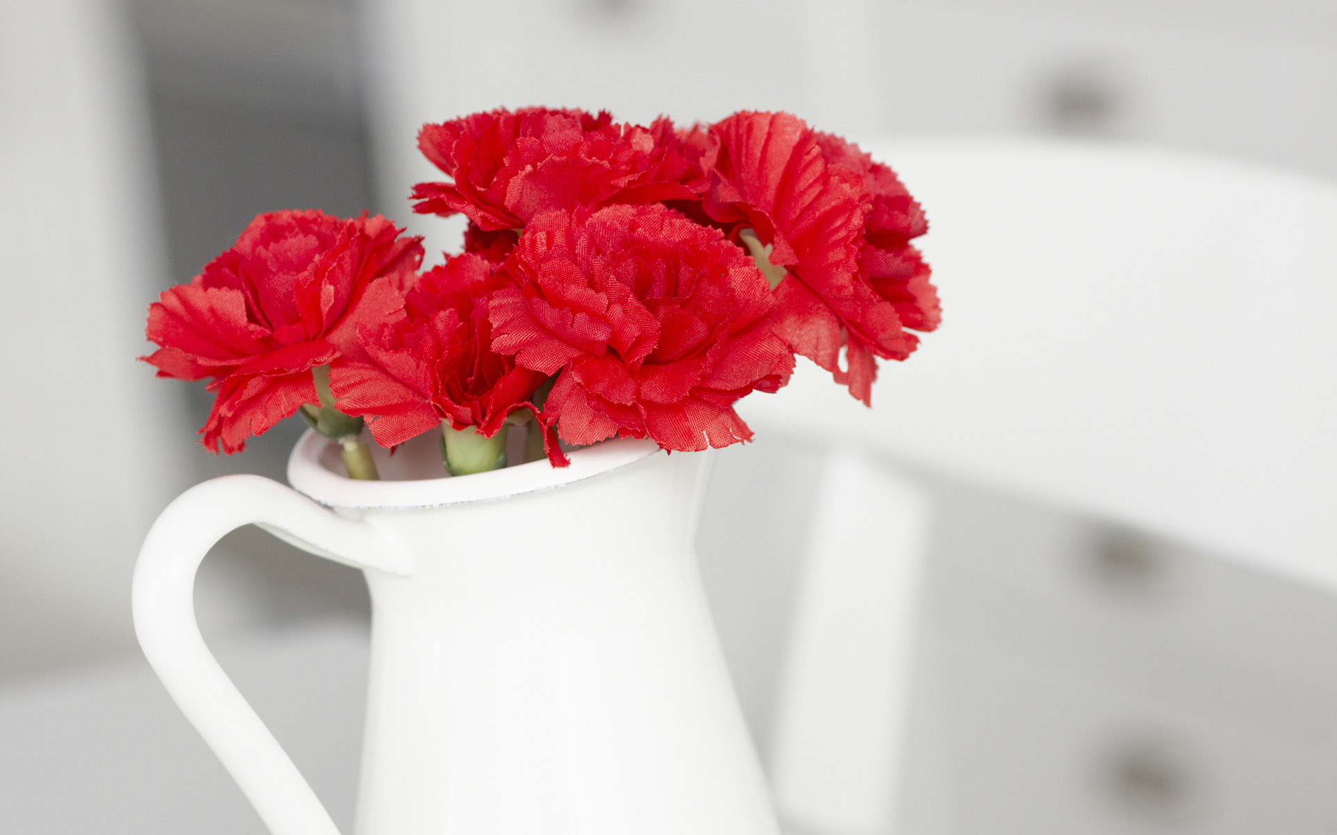 Hình nền hoa cẩm chướng đẹp mắt (2)