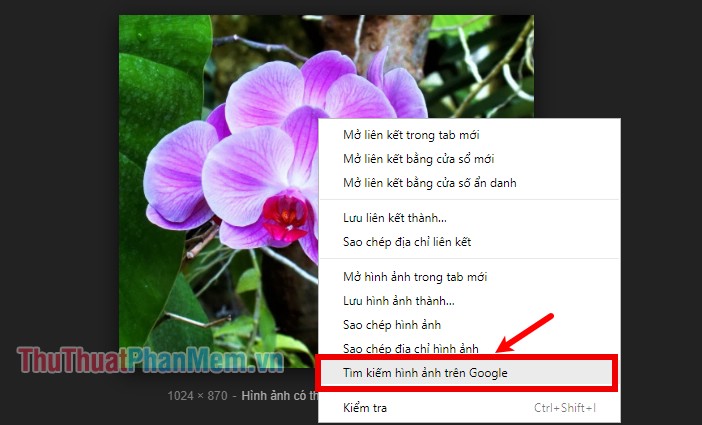 Nhấn chuột phải vào hình ảnh và chọn Tìm kiếm hình ảnh trên Google (Search Google for image)
