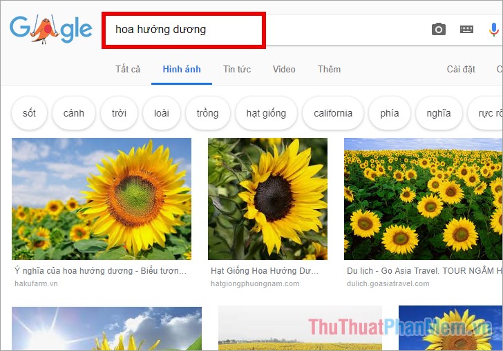 Truy cập trang Tìm kiếm Hình ảnh của Google và nhập các từ khóa tìm kiếm hình ảnh của bạn