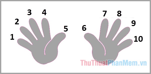 Xòe hai bàn tay ra và đếm thứ tự ngón tay từ trái sang phải